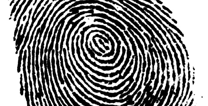 Particolare tenuità del fatto ed esclusione della punibilità