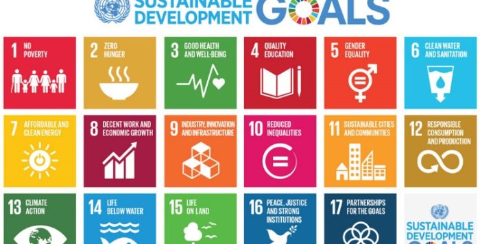 THE MILLENNIUM AND SUSTAINABLE DEVELOPMENT GOALS: The United Nations’ challenge for a fairer, eco-friendlier and more developed world