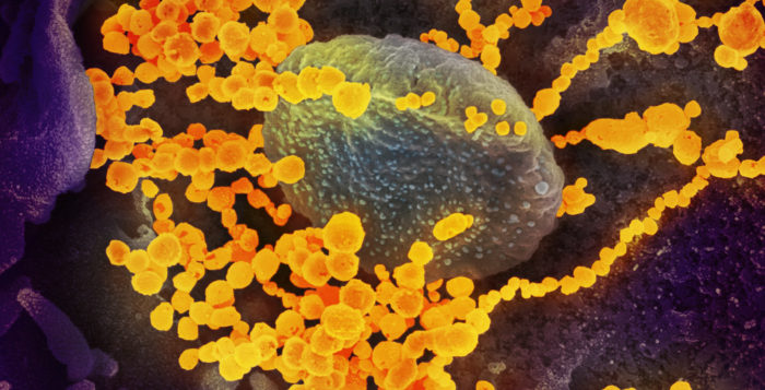 Emergenza “Coronavirus”: il Governo cinese traccia la strada per un efficiente contenimento dei danni economici