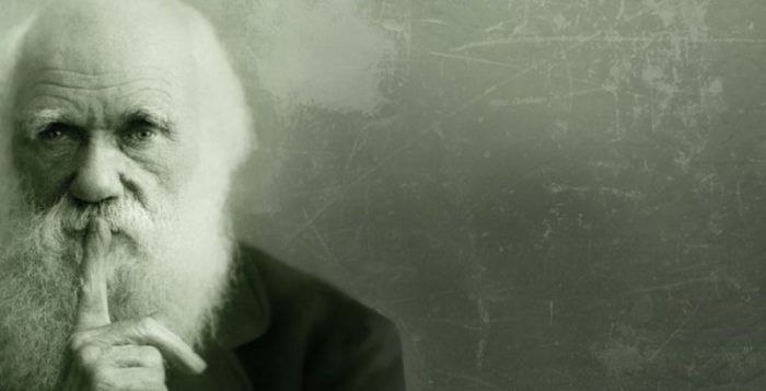 Darwinismo lavorativo: specializzarsi per superare la “selezione naturale”